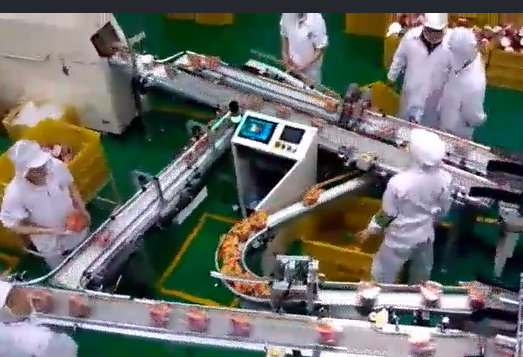 當(dāng)輸送帶出現(xiàn)跑偏后，怎么辦？