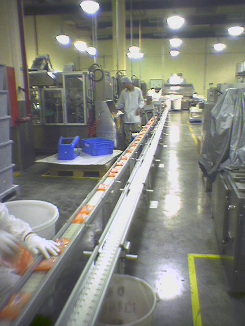 模塊化設計柔性鏈板輸送系統(tǒng) 模塊化設計柔性鏈板輸送系統(tǒng)